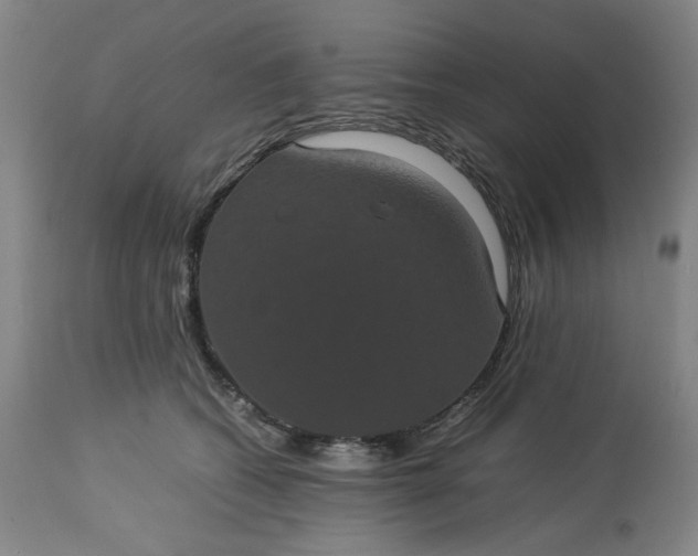 X0000113240562200909241549