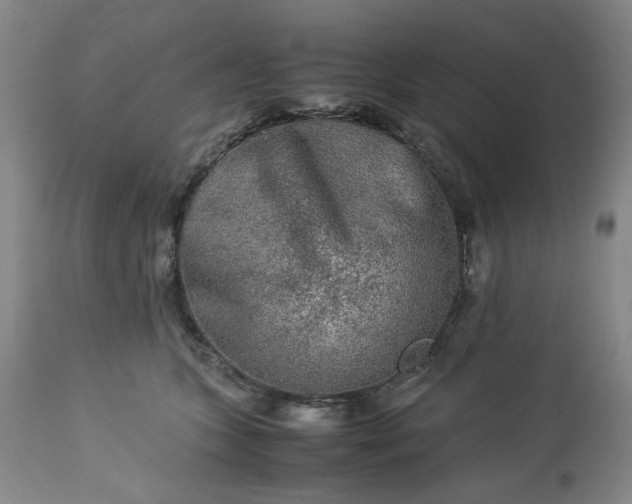 X0000113240563200909241549