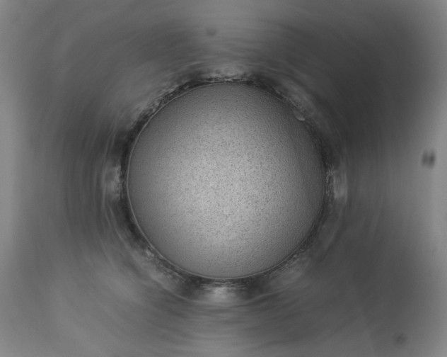 X0000113240564200909241549