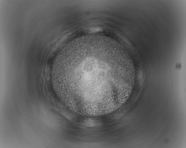 X0000113240565200909241549