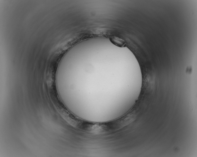 X0000113240566200909241549