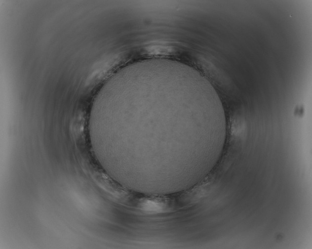 X0000113240567200909241549