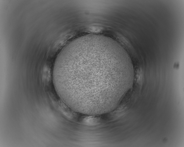 X0000113240568200909241549