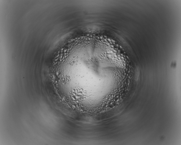 X0000113240569200909241549