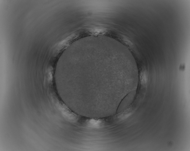 X0000113240570200909241549