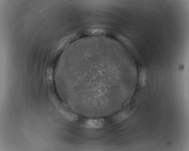 X0000113240571200909241549