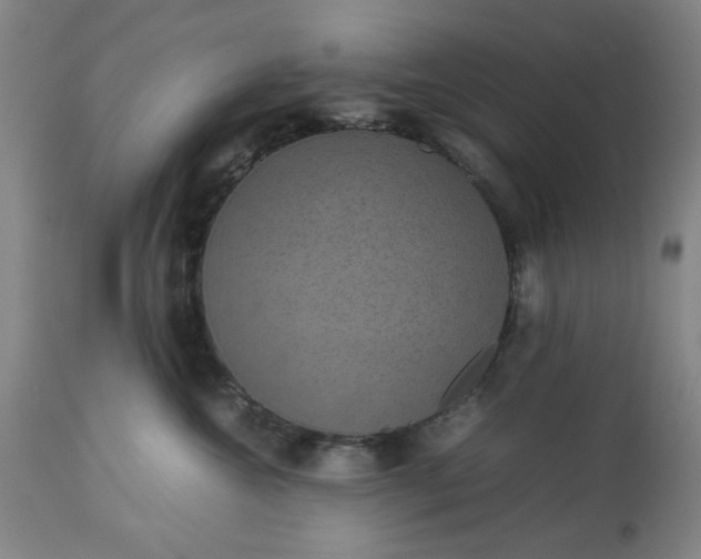 X0000113240572200909241549