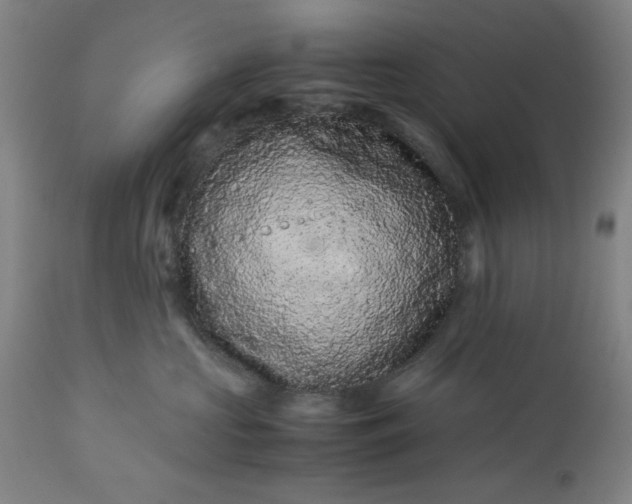 X0000113240573200909241549