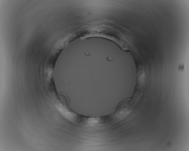 X0000113240574200909241549