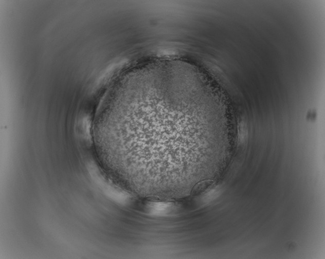 X0000113240575200909241549