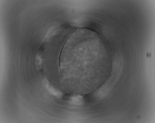 X0000113240576200909241549