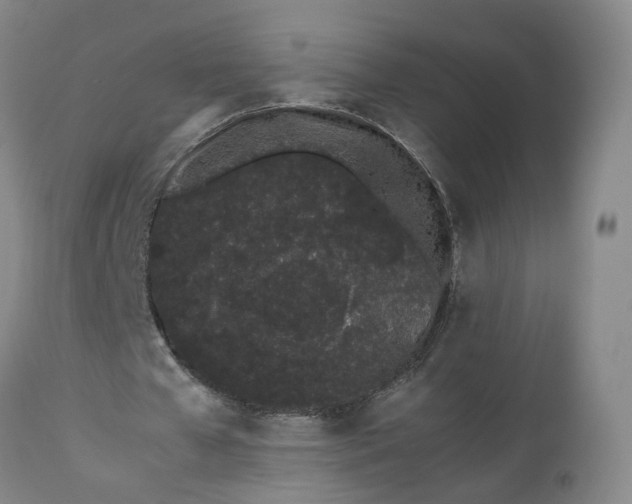 X0000113240577200909241549