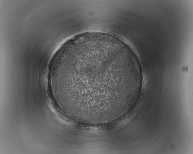 X0000113240580200909241549