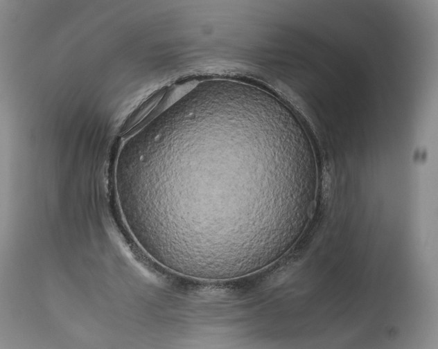 X0000113240581200909241549