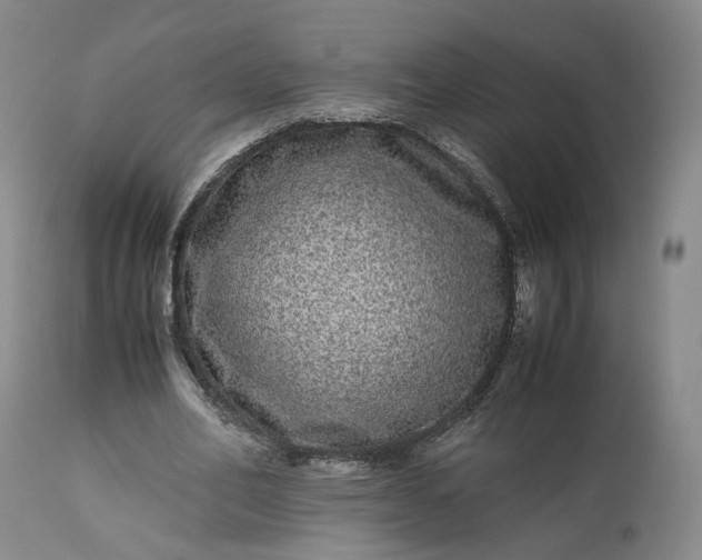 X0000113240582200909241548