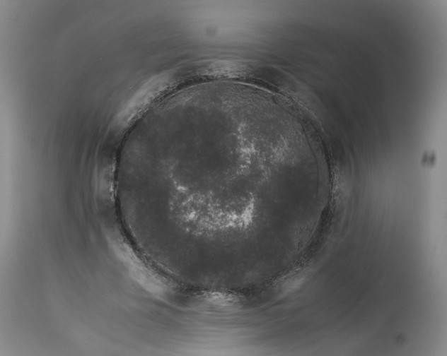 X0000113240585200909241548