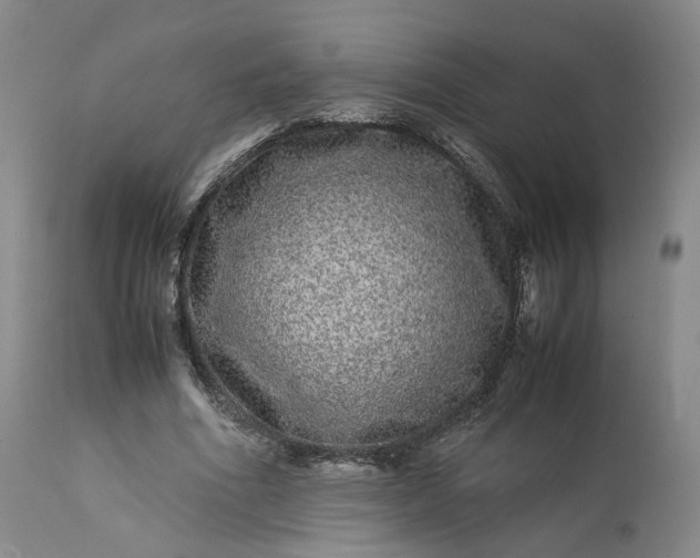 X0000113240586200909241548