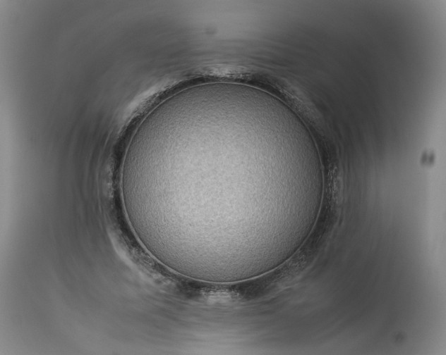 X0000113240587200909241548