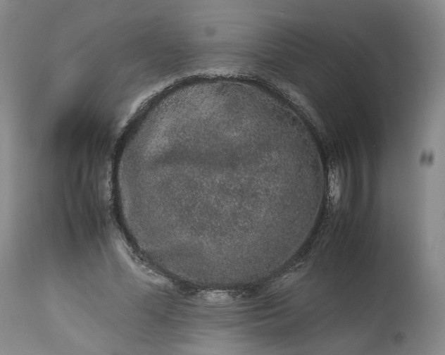 X0000113240588200909241548