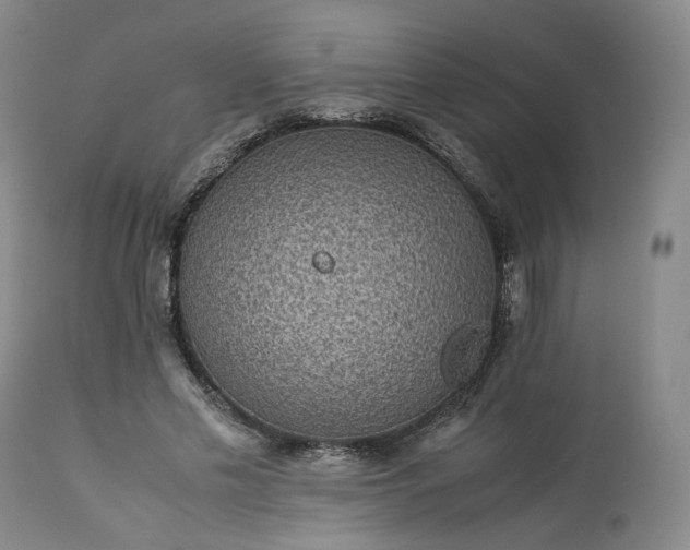 X0000113240589200909241548