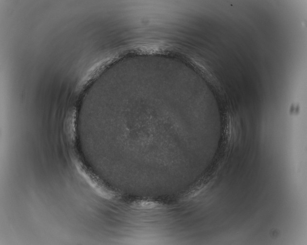 X0000113240590200909241548