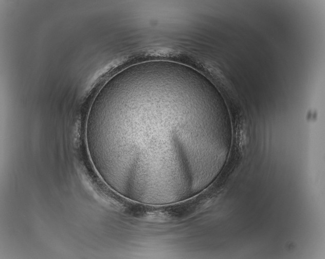 X0000113240591200909241548