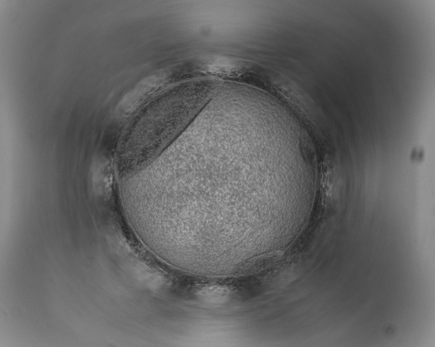 X0000113240593200909241548