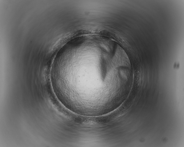 X0000113240594200909241548