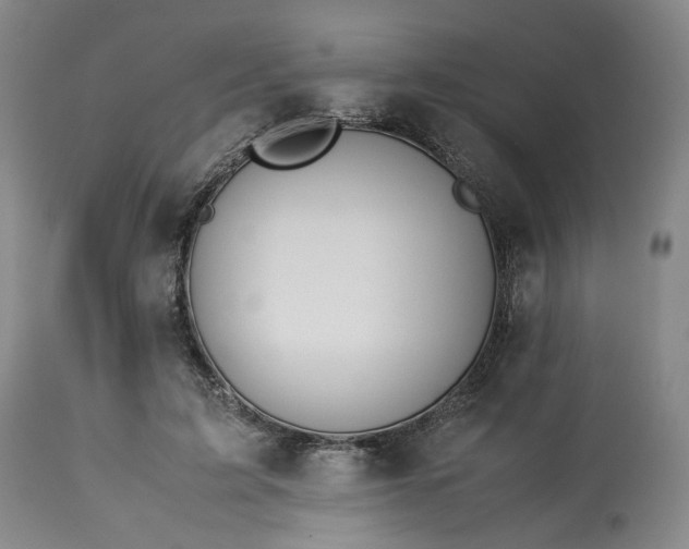 X0000113240595200909241548