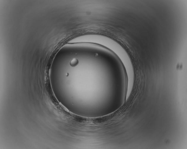 X0000113240597200909241548