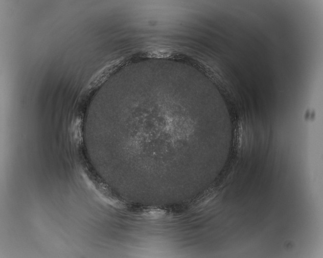 X0000113240598200909241548