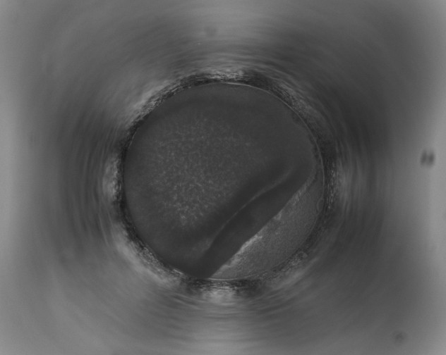 X0000113240600200909241548