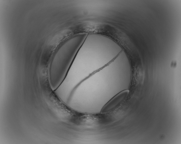 X0000113240601200909241548