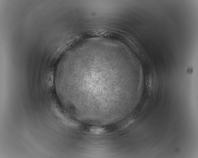 X0000113240602200909241548