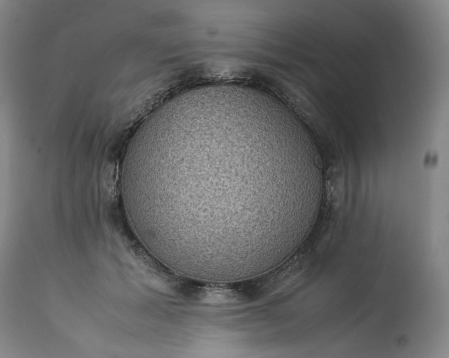 X0000113240605200909241548