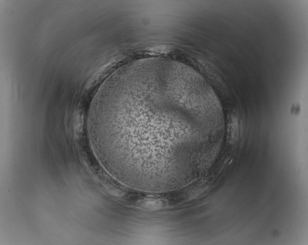 X0000113240608200909241548