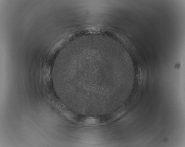 X0000113240610200909241548