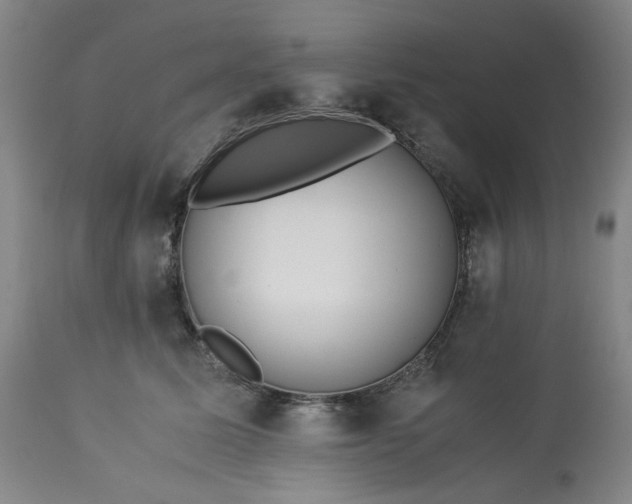 X0000113240611200909241548