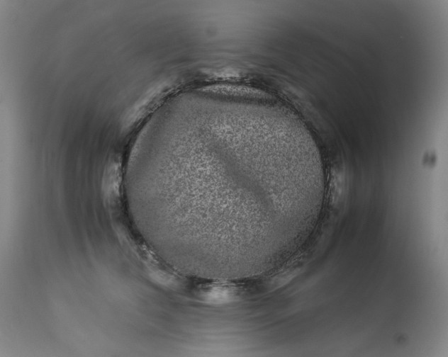 X0000113240612200909241548