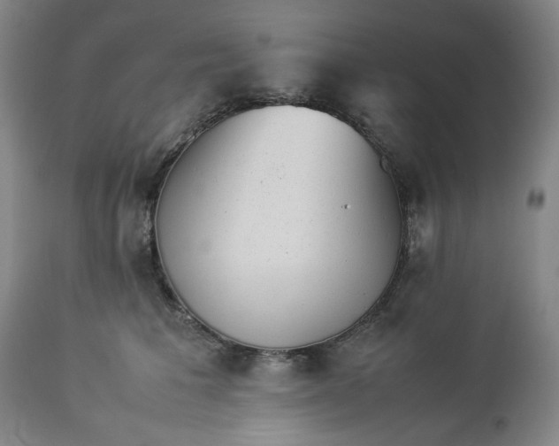 X0000113240613200909241548