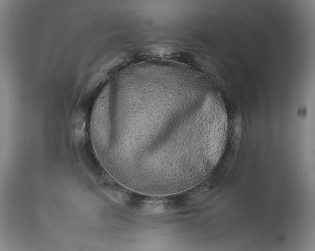 X0000113240615200909241548