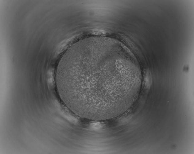 X0000113240616200909241548