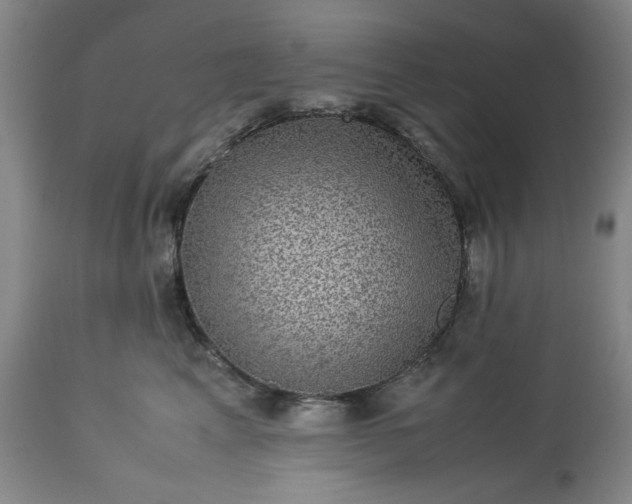 X0000113240617200909241548