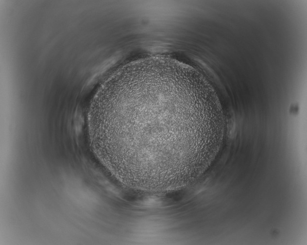 X0000113240618200909241548