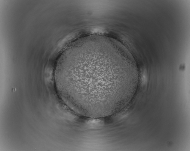 X0000113240619200909241548