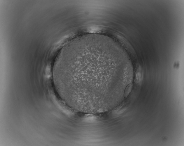 X0000113240620200909241548