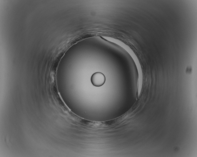 X0000113240621200909241548