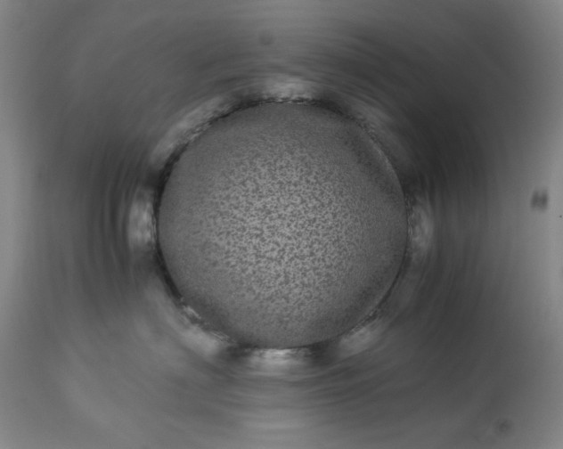 X0000113240622200909241548