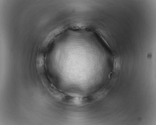 X0000113240623200909241548