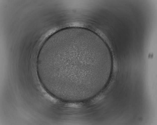 X0000113240625200909241547